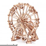 Wood Trick Ferris Wheel Observation Wheel Mechanical Models 3D Wooden Puzzles DIY Toy Assembly Gears Constructor Kits for Kids Teens and Adults  B06XN5TR32